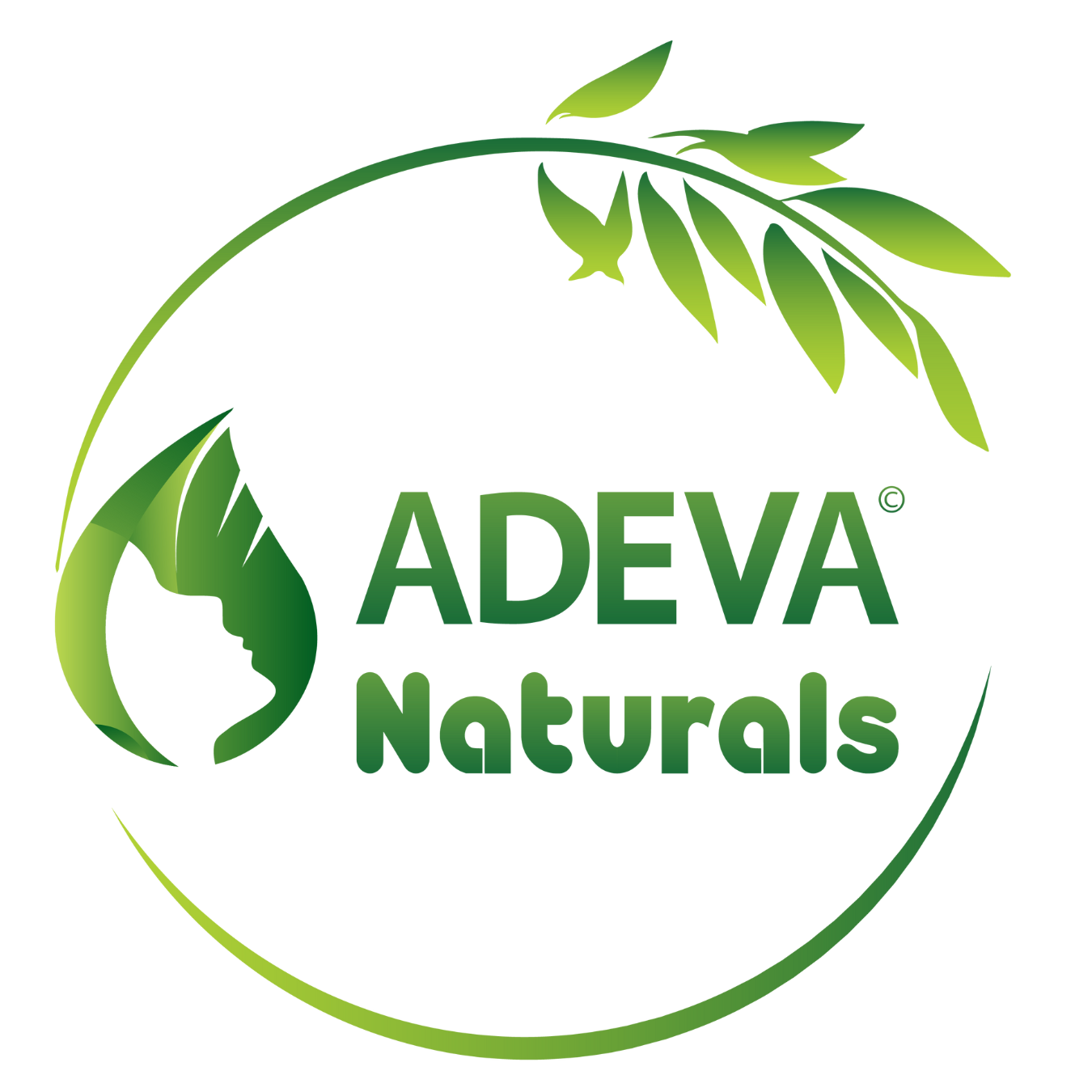 adevavietnam.com